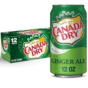 AMERICAN CANADA DRY GINGER ALE 355ML