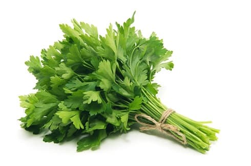 PARSLEY