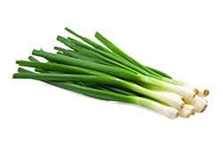 SPRING ONION 