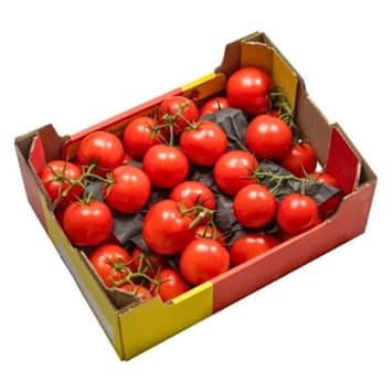 VINE TOMATOES