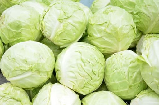 WHITE CABBAGE 10KG
