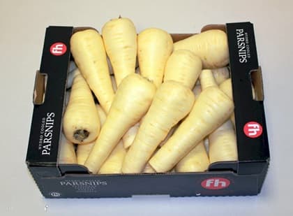 PARSNIPS