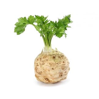 CELERIAC