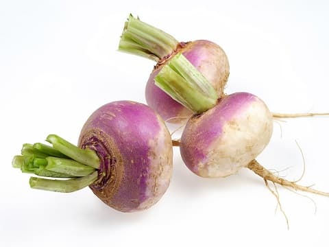 TURNIPS