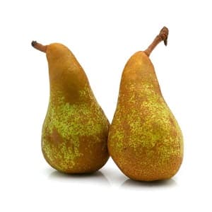PEARS CONFERENCE