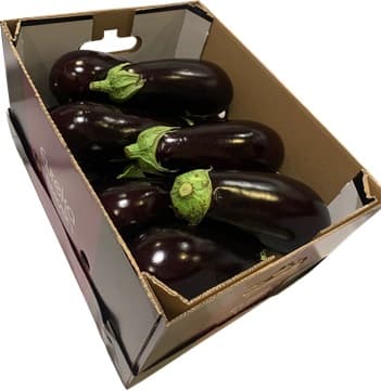 AUBERGINES