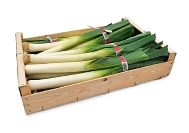 LEEKS (~4.5KG)