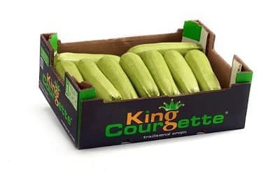 WHITE COURGETE  4 KG