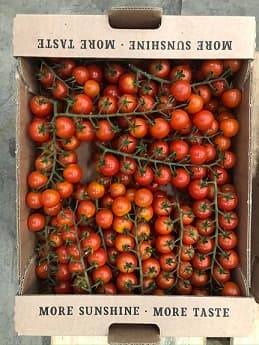 CHERRY TOMATO VINE LOOSE 3KG